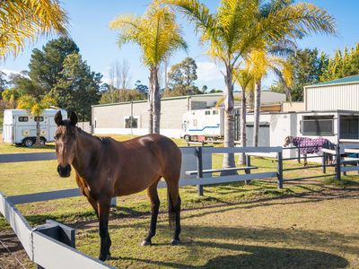 21 Oaklands Road, Pambula