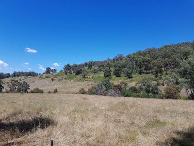 . Bullhead Road, Mitta Mitta