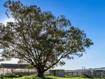 392 TUNTABLE FALLS ROAD, Nimbin