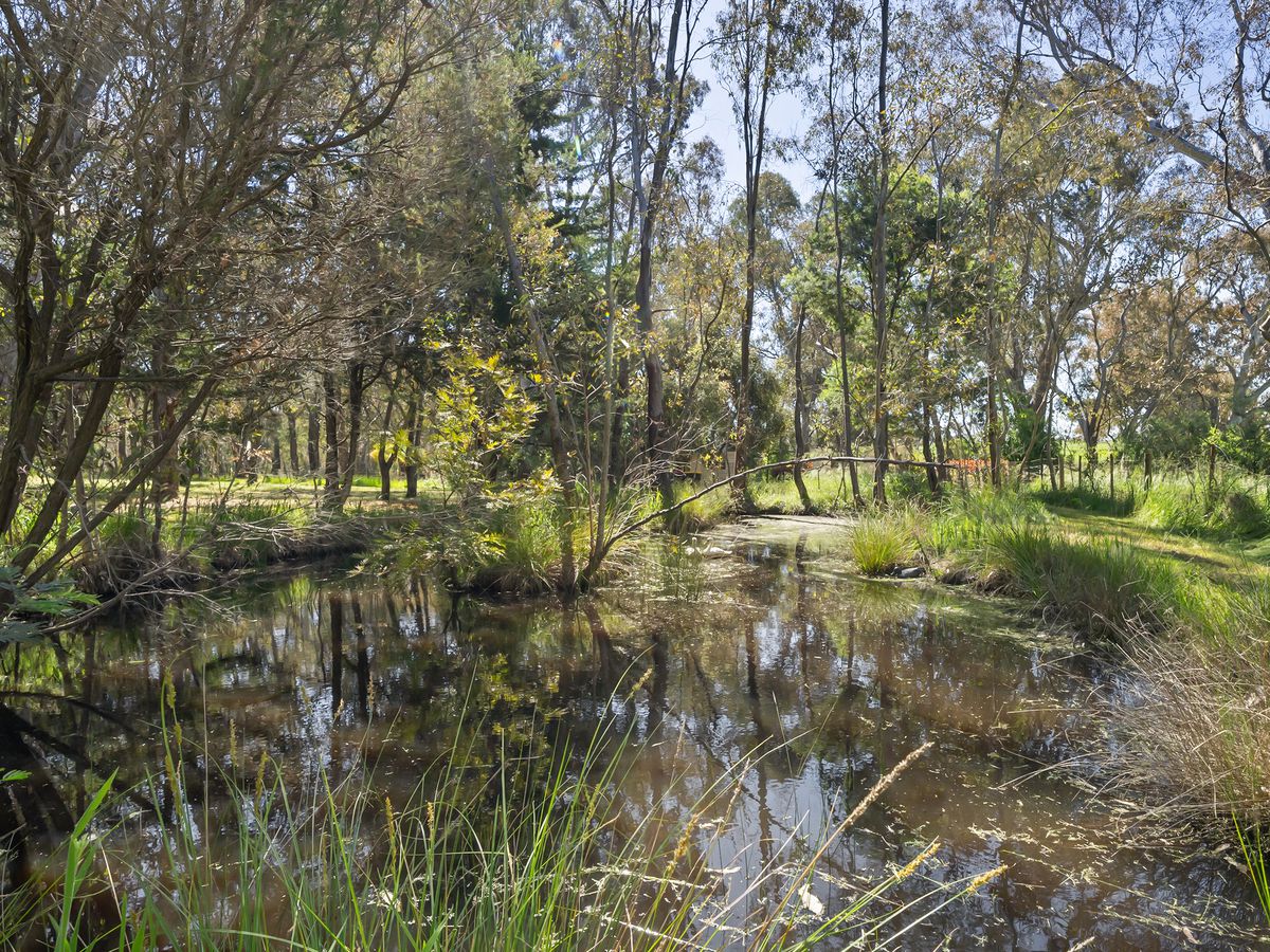 232 Swanpool Road, Swanpool
