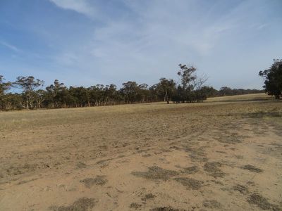 18717 / Mawson Doodenanning Balkuling, Quairading