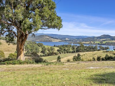 115 Browns Road, Lower Wattle Grove