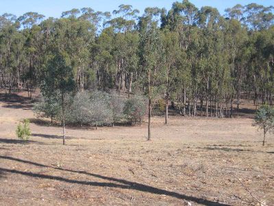 50 COMMON DAM TRACK, Heathcote