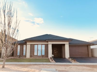 48 Carisbrook Street, Caroline Springs