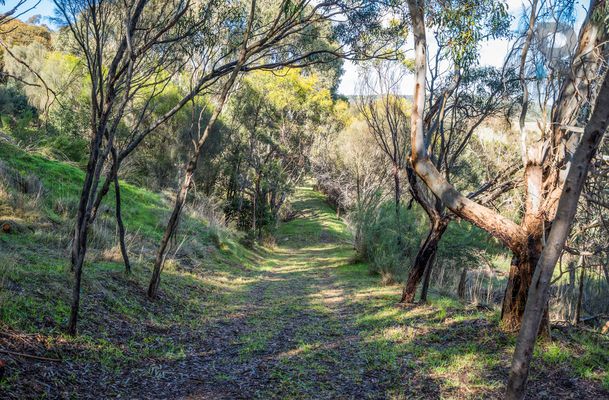 55 Kinnear Road, Mickleham