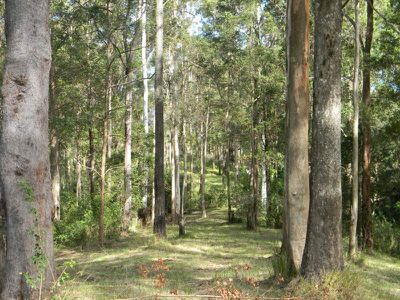 Maleny