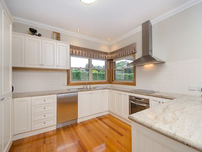 4 Albatross Terrace , Mount Gambier
