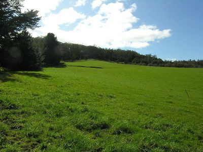 Office RE / Lot 2 Gans Lane, Geeveston