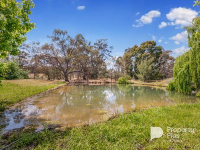 853 Calder Alternative Highway, Lockwood South