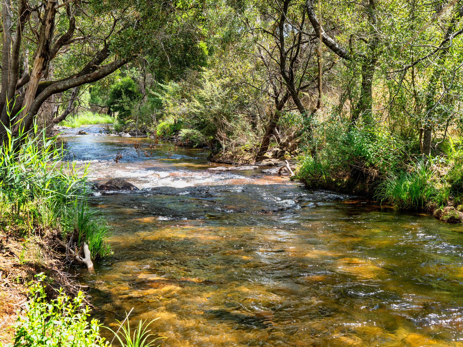 2175 Mt Buller Road, Merrijig 