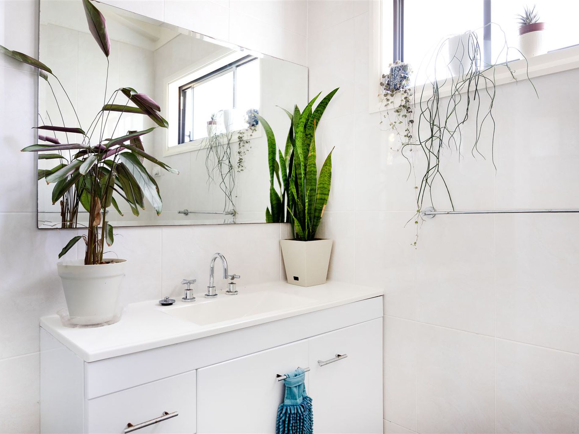 8 Ocean Street, Mollymook