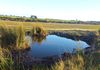 Back Valley