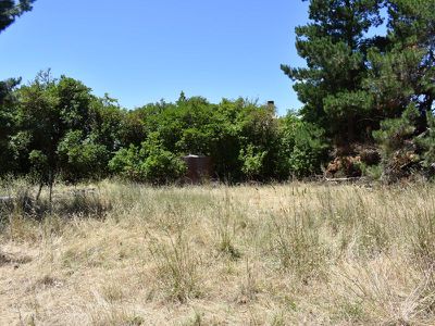 286 St Clair Road, Millicent