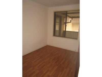 Mount Warrigal