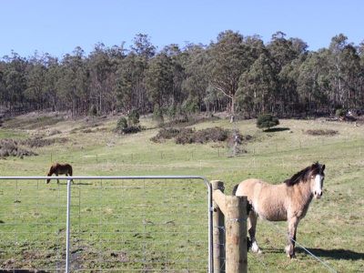 282 Judds Creek Road, Judbury