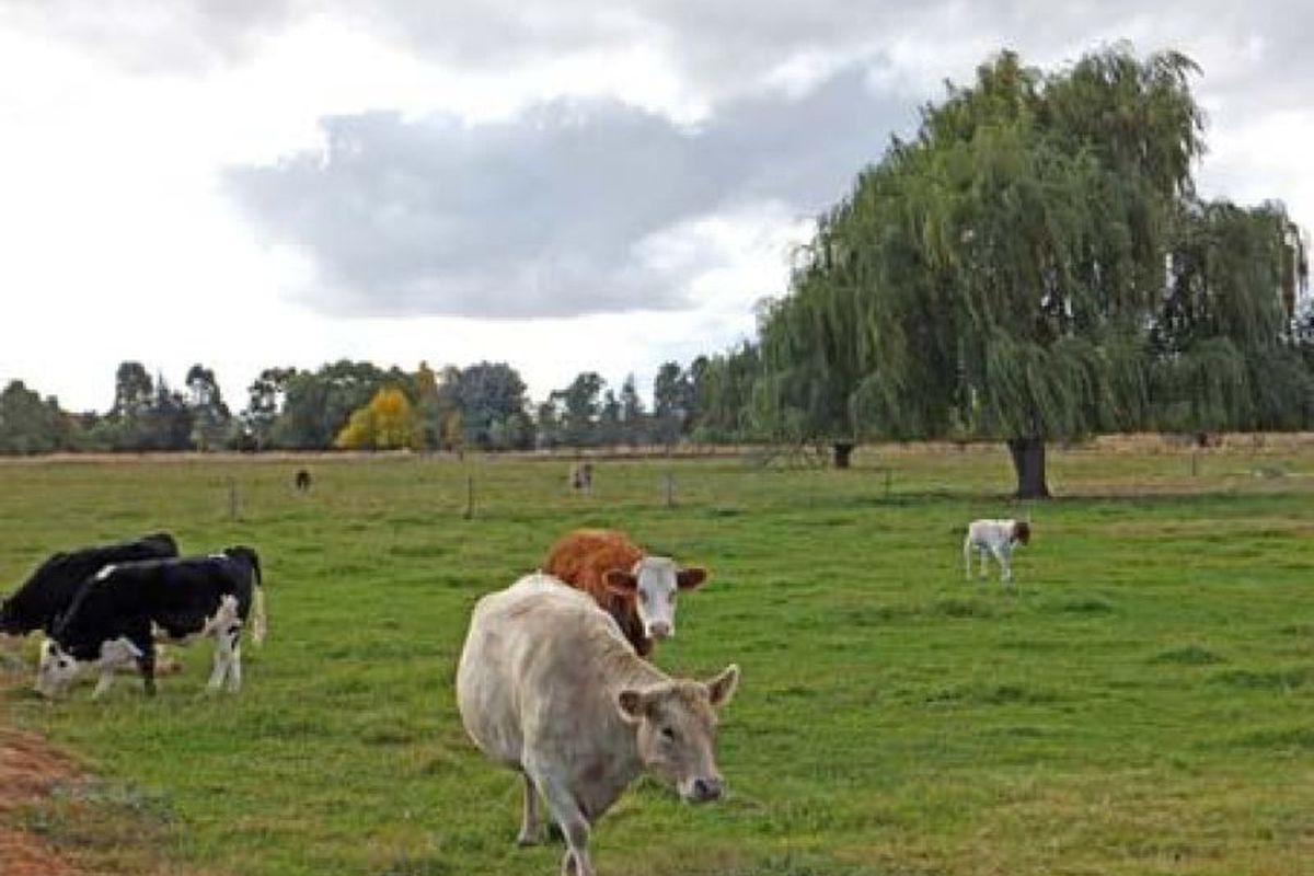 58 Everard Road, Kyabram