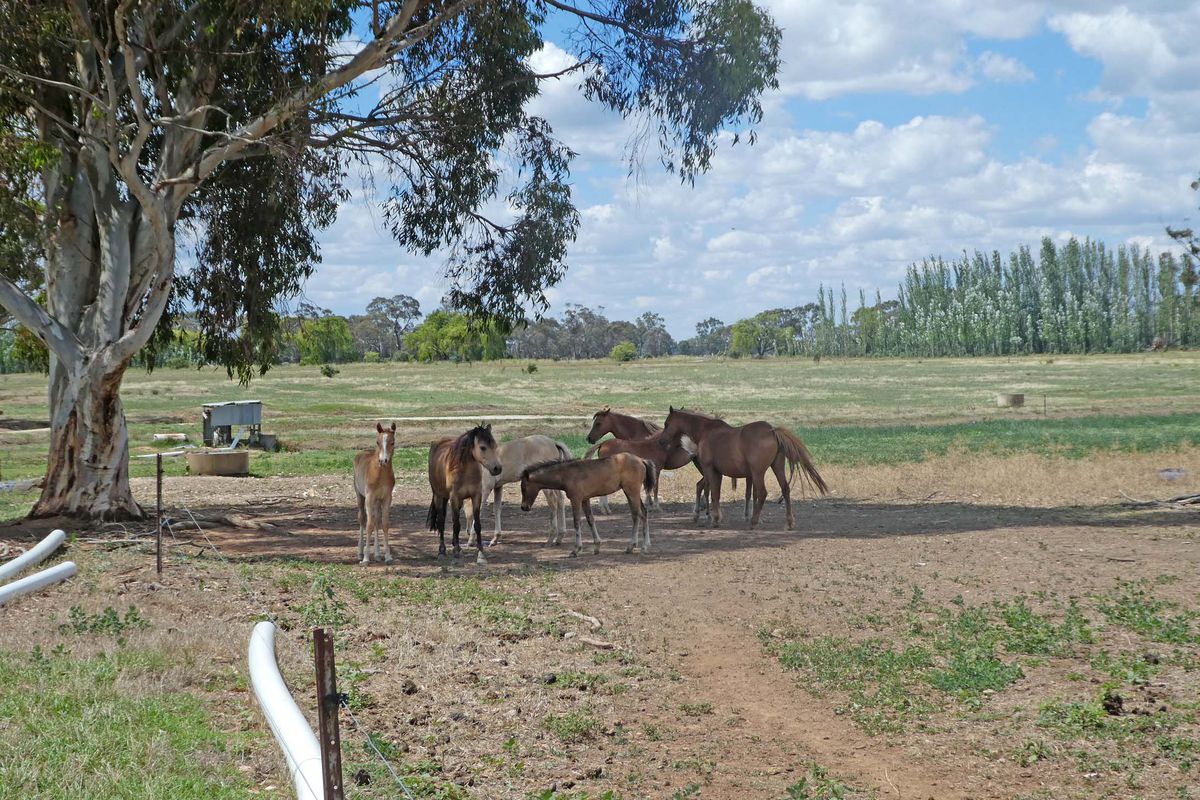 48 Martin Road, Stanhope