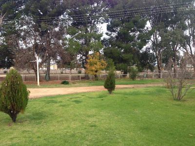 29 McKenzie Street, Conargo