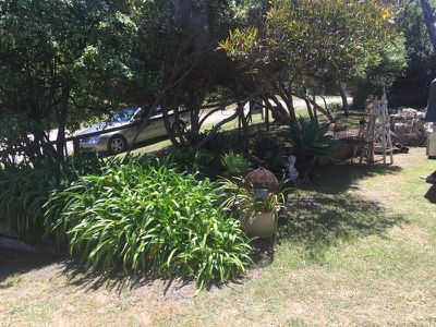 36 Bruce  Street, Rye