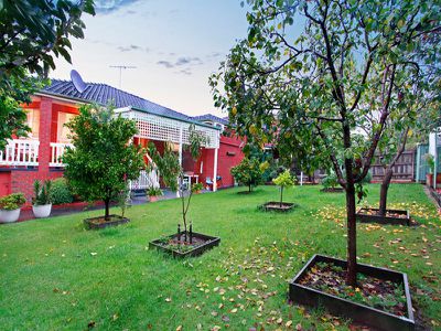 20 Pallidus Way, Narre Warren