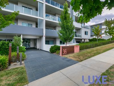 242 / 36 Philip Hodgins Street, Wright