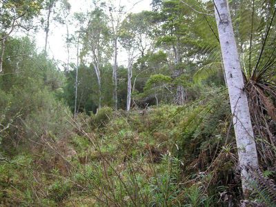 Bakers Road, Raminea