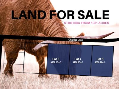 Lot 5 Charlies Lane, Carrick