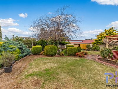 31 Emmaline Drive, Maiden Gully