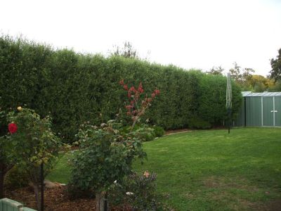 7 Mahoney Avenue, Mount Gambier