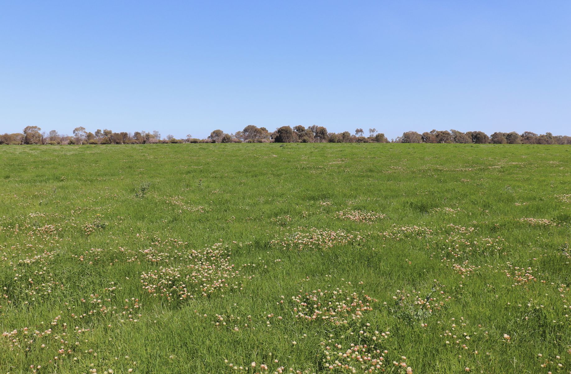 649 LONIES ROAD, Shelford