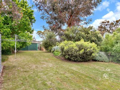 35 Melrose Street, Mount Pleasant