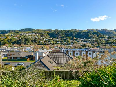 40 Hinau Street, Tawa