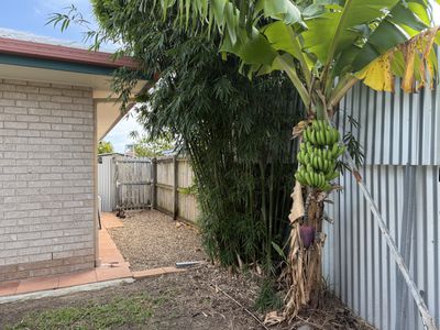 16 Ivybird Court, Torquay