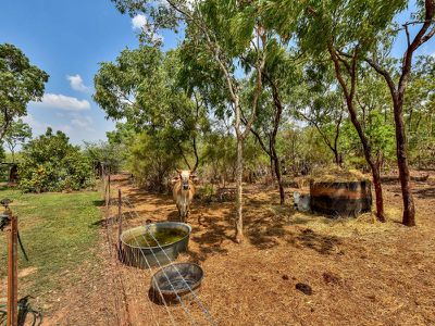105 Cox Peninsula Road, Berry Springs