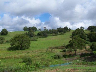 Lot 17, Lot 17 Greenfields, Maleny