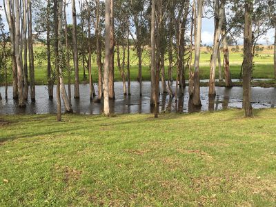 22 / Locke Lane, Nanango
