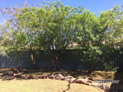 555 Margaret Avenue, Paraburdoo