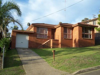 Mount Warrigal