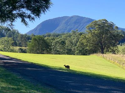 94 Hutchinson Road, Nimbin