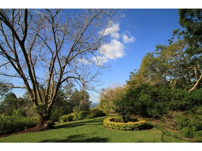 734 Palmwoods-Montville Road, Montville