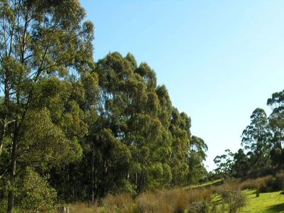 Pelverata Road, Pelverata