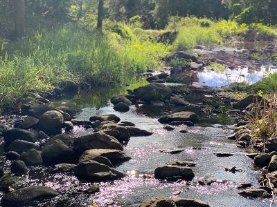 573 Blue Knob Road, Nimbin