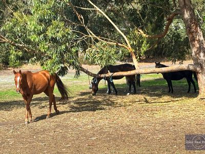 124 Sheoak Drive, Hay