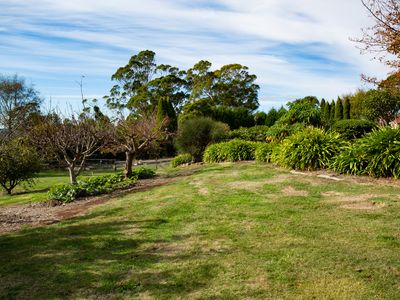 1 Pine Tree Avenue, Grindelwald
