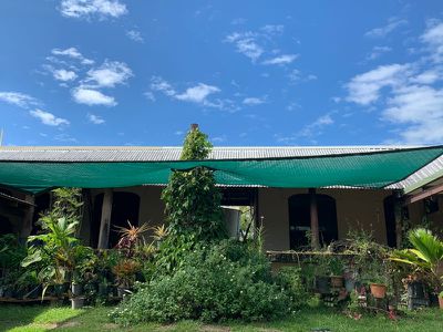 70 Oakey Creek Road, Cooktown