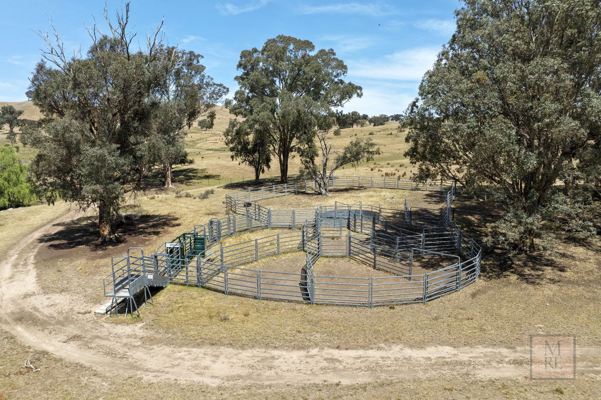 'Dalhaven' via Hells Hole Creek Road, Bonnie Doon