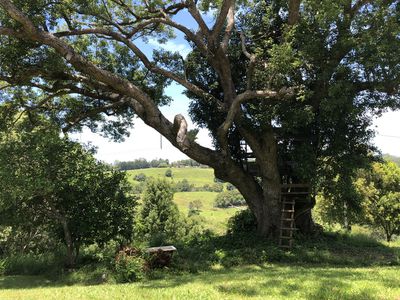 59 Mafeking Road, Goonengerry