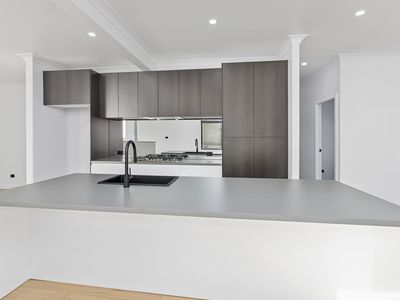 81 Burke Road, Dapto
