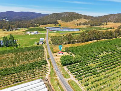 1511 Nicholls Rivulet , Nicholls Rivulet