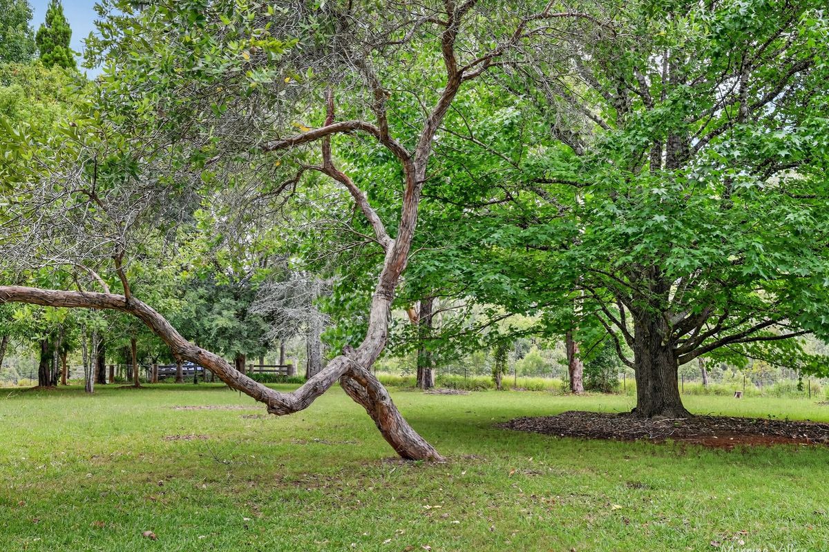 64 Millers Road, Bobin